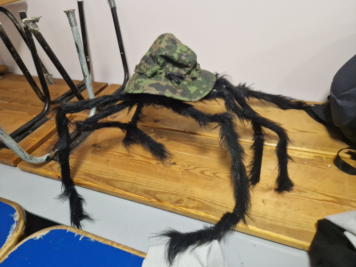 Spider with hat