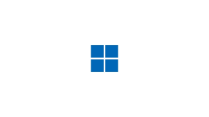 MS Windows