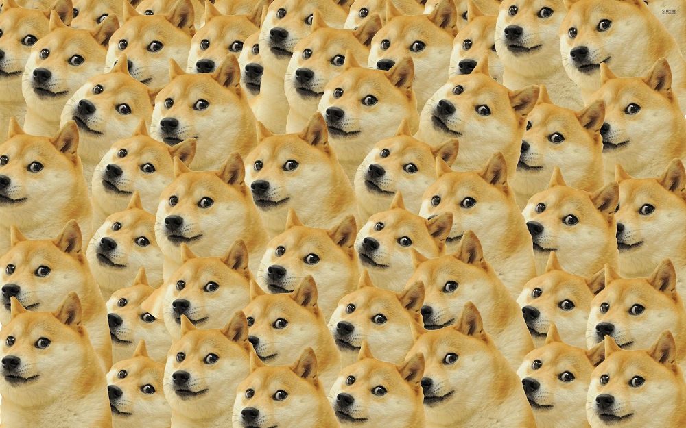 Doges